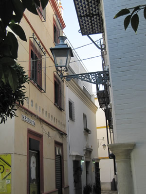modern mosque